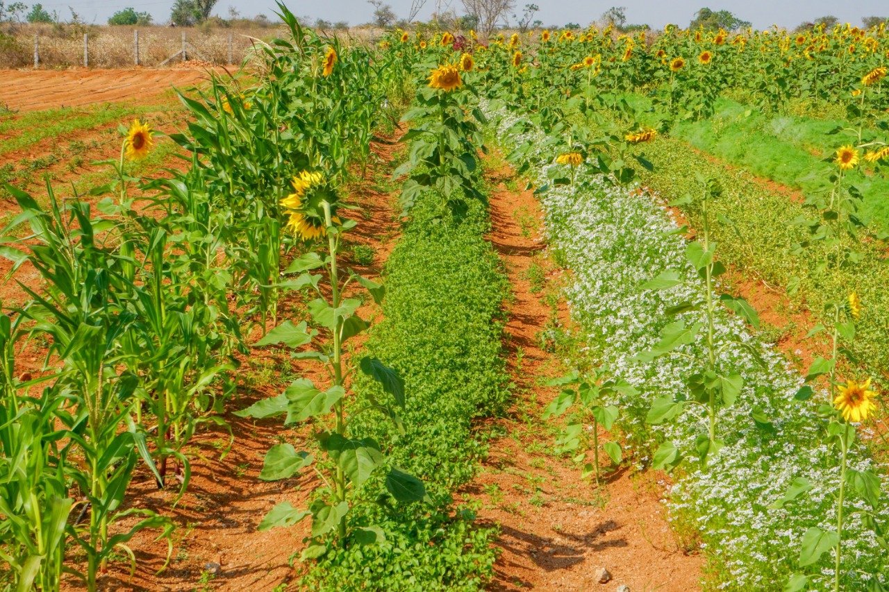 whatsapp image 2025 11 22 at 12.51.17 pm